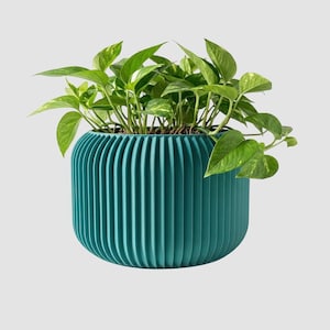 May include: A teal, ribbed planter pot filled with green leafy plants. The pot has a rounded shape and vertical grooves. The plants have vibrant green leaves. The Etsy shop URL www.LeVeridianStudio.etsy.com is at the bottom of the image.