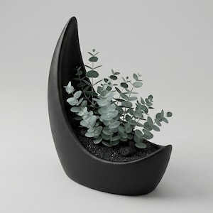 May include: A black, crescent-shaped ceramic planter filled with small green plants and dark soil. The planter has a smooth, matte finish and is set against a neutral background. The website address www.LeVeridianStudio.etsy.com is at the bottom.