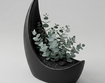 Half Moon Air Plant Display, Crescent Moon Planter, Air Plant Holder, Gift for the Plant Lover, Moon Air Plant Display