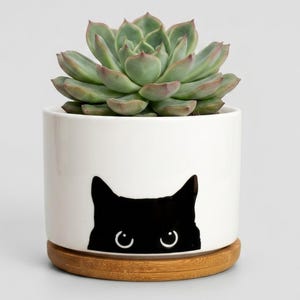 May include: A white ceramic plant pot featuring a black cat face design, holding a green succulent plant. The pot rests on a round, natural wood base. The website address www.LeVeridianStudio.etsy.com is at the bottom.