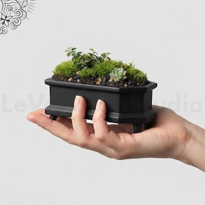 May include: A rectangular matte black ceramic planter with four small feet, containing a miniature arrangement of green moss, small leafy plants, and a single succulent, all nestled in dark soil with small pebbles on the surface.
