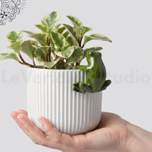 カエル型プラントハガー、植木鉢ハンガー、風変わりな多肉植物鉢、ガーデンオーナメント、室内ギフト装飾