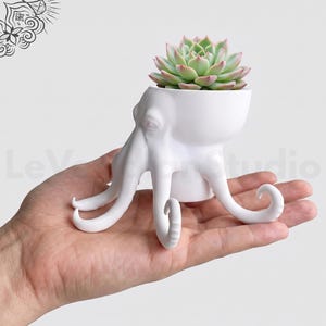 May include: A matte white octopus-shaped planter featuring a sculpted head and multiple curved tentacles extending outward. A small, light green and pink-tipped succulent plant is potted inside the top of the octopus head container.
