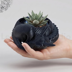 May include: A black, textured, coiled snake-shaped planter featuring a single horn on its head. The planter holds a small, green, pointed succulent plant. The text www.LeVeridianStudio.etsy.com is printed at the bottom of the image.