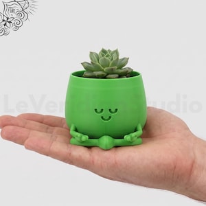 Happy Face-planteringskärl, bokmals-suckulentkruka, samlarplanteringskärl, perfekt present till en bokälskare, heminredning för små växter