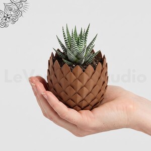 May include: A small succulent plant with green and white striped leaves potted in a brown, textured, egg-shaped planter with a repeating scale-like pattern. The planter has a matte finish and is held in an open palm against a light background.