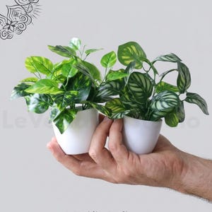 Puede incluir: Dos pequeñas plantas artificiales con hojas verdes variegadas en macetas de cerámica blanca. Las plantas presentan patrones de hojas distintos y se sostienen juntas. El texto www.LeVeridianStudio.etsy.com es visible en la parte inferior.