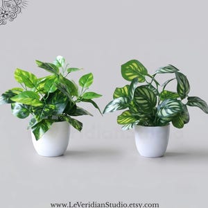 May include: Two artificial potted plants in white ceramic pots. The plant on the left features variegated green and yellow heart-shaped leaves. The plant on the right displays dark green leaves with light green striped patterns. Text reads www.LeVeridianStudio.etsy.com.