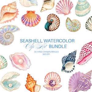 May include: A collection of watercolor seashell illustrations featuring various shapes and colors, including pink, orange, blue, and purple shells. The text reads SEASHELL WATERCOLOR Clip Art BUNDLE 30 HAND DRAWN IMAGES 300 DPI. Some shells contain pearls.