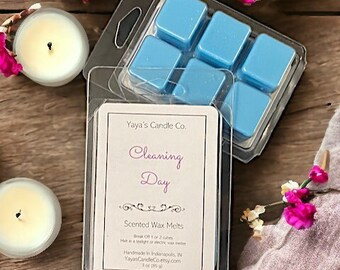 CLEANING DAY Clamshell Wax Melts - Tarts - Scallops - Cubes - Snap Bars - Strong Scents - Non Foods - Spring - Summer - Scents