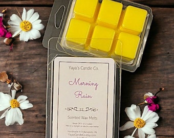 MORNING RAIN Clamshell Wax Melts - Scallop Tarts - Wax Tarts - Wax Bars - Clamshell Wax - Cubes - Scented Wax - Wildflowers Spring Summer