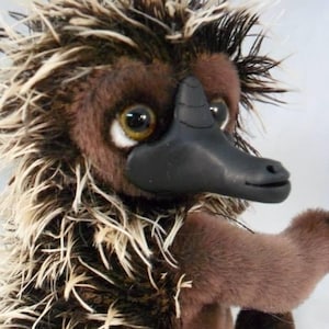 SPIKE ECHIDNA PATTERN