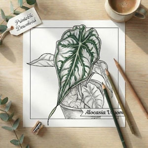 May include: Black and white botanical illustration of an Alocasia plant with large, veined leaves. The drawing is in a pot, with the text "Alocasia" and "Printable Download" on a tag. Pencils and a coffee cup are on a wooden surface.