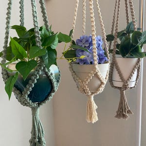 May include: Three macrame plant hangers in shades of green, cream, and brown, each holding a potted plant. The plants feature green foliage and blue flowers. The hangers have a knotted design with a tassel at the bottom, creating a bohemian aesthetic.