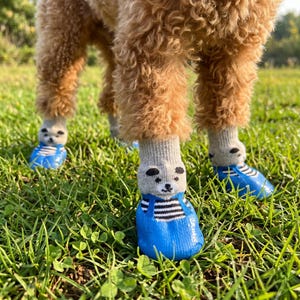 May include: A dog wearing blue and white striped boots with gray socks featuring a bear face design. The dog is standing on green grass.