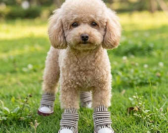 Baskets respirantes pour chien | Bottes antidérapantes pour chiots pour la marche en plein air