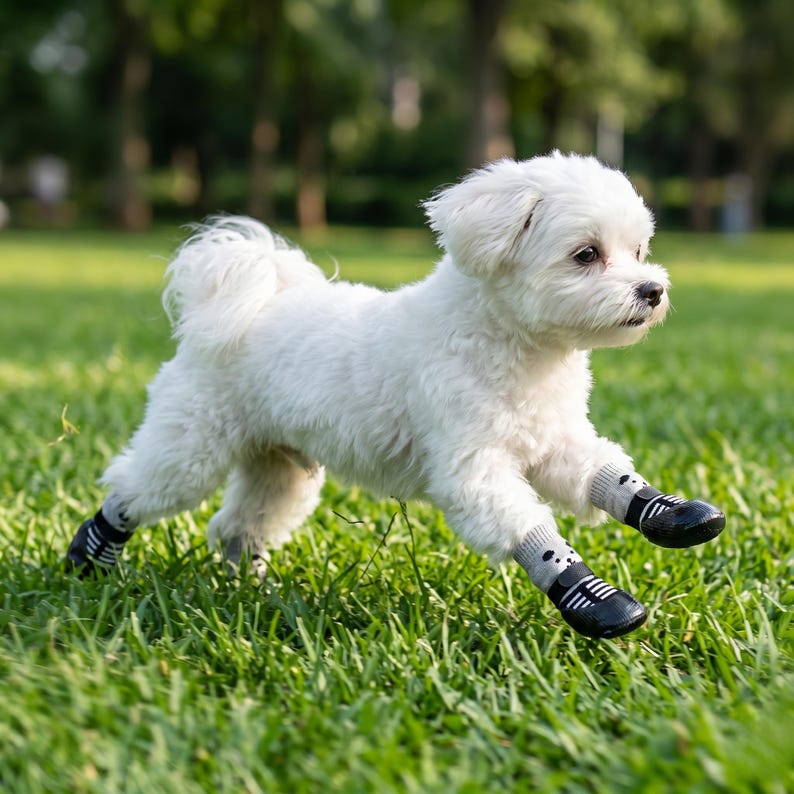 May include: A small, fluffy white dog running on green grass, wearing four black and gray dog boots. The boots have a cartoon design. The dog is in motion, with its legs extended, and the background is blurred.
