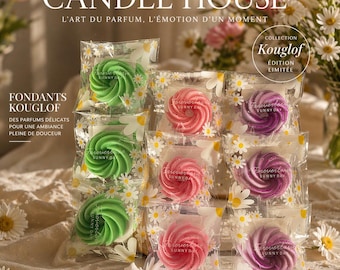 Set of 2 flavored Kouglof fondant cakes