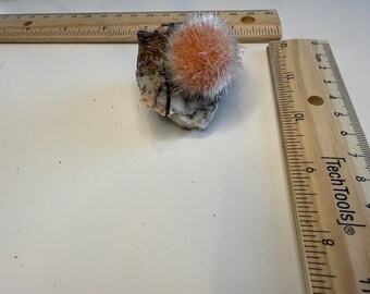 Indian dandelion Zeolite light quartz crystal