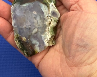 petrified wood with purple