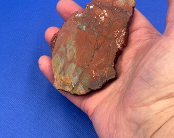 Red Petrified Wood for Cabing, Natural Stone Specimen