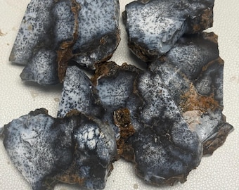Dendrite Opal Pieces from Australia for Cabing