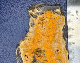 Bumblebee Moss Agate Slice Specimen, Natural Stone Display