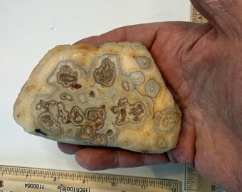 Rare Crazy Lace Agate Slice, Unique Banded Stone Specimen