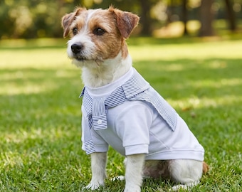 Small Dog Polo Shirt, Preppy Striped Collar, Soft Breathable Puppy Apparel