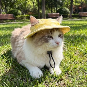Puede incluir: Un gato esponjoso con un sombrero para el sol amarillo con una correa de barbilla negra, sentado en hierba verde. El gato tiene pelaje blanco y gris y está al aire libre en un parque.