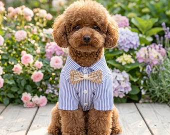 Striped Dog Shirt with Bow Tie, Formal Pet Outfit, Small Dog Clothes, Puppy Wedding