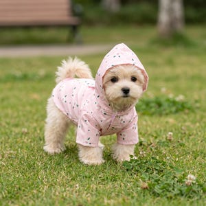 May include: A small, light-coloured dog wearing a light pink hooded raincoat featuring a repeating pattern of white flowers with green leaves. The raincoat has short sleeves and a hood that covers the top of the dog's head, providing full coverage.
