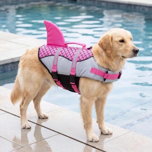 May include: A golden retriever wearing a pink and gray shark-themed dog life vest. The vest features a pink dorsal fin, a handle, and adjustable straps. The dog is standing by a pool.