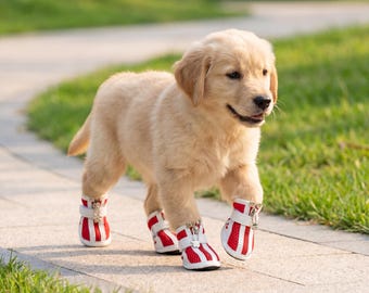 Small Dog Shoes, Waterproof Paw Protectors, Anti-Slip Soft Sole Booties
