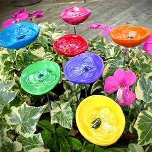 Puede incluir: Adornos de jardín de cristal coloridos en tonos azul, rosa, rojo, verde, morado, naranja y amarillo. Cada adorno tiene forma de cuenco poco profundo y está montado sobre una estaca negra, rodeado de follaje verde y flores rosas.
