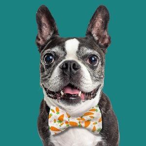 Carrot Print Dog Bow Tie: Machine Washable Pet Collar Accessory