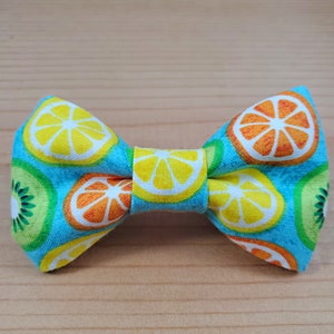 Citrus Summer Aqua Fresh  Durable Bow Tie Dog Cat Collar Washable