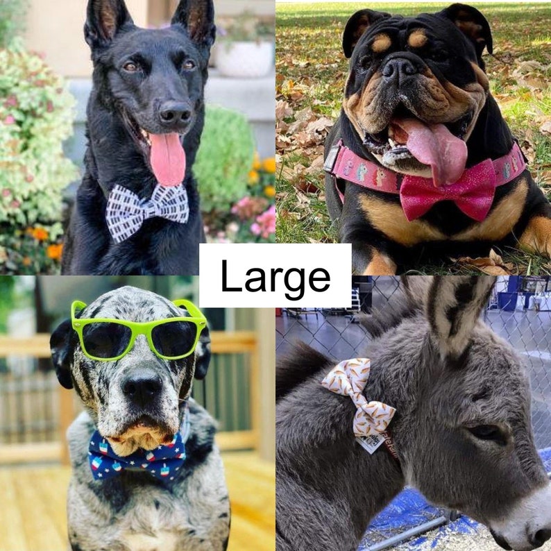 Puede incluir: Un collage de cuatro im&aacute;genes con perros y un burro con pajaritas. La primera imagen muestra un perro negro con una pajarita en blanco y negro. La segunda imagen muestra un bulldog con una pajarita rosa. La tercera imagen muestra un gran dan&eacute;s con gafas de sol verdes y una pajarita azul, blanca y roja. La cuarta imagen muestra un burro gris con una pajarita blanca y naranja.