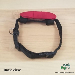 Puede incluir: Vista posterior de un collar de perro negro con una pajarita roja. El collar tiene un anillo en D de metal y una hebilla de pl&aacute;stico. La pajarita est&aacute; hecha de tela y se fija al collar con una correa de velcro. El collar est&aacute; sobre una superficie de madera. "Cheeky Chic" y "www.CheekyChicBows.com" est&aacute;n impresos en la superficie.