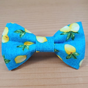 Lemon Summer Blue Fresh  Durable Bow Tie Dog Cat Collar Washable