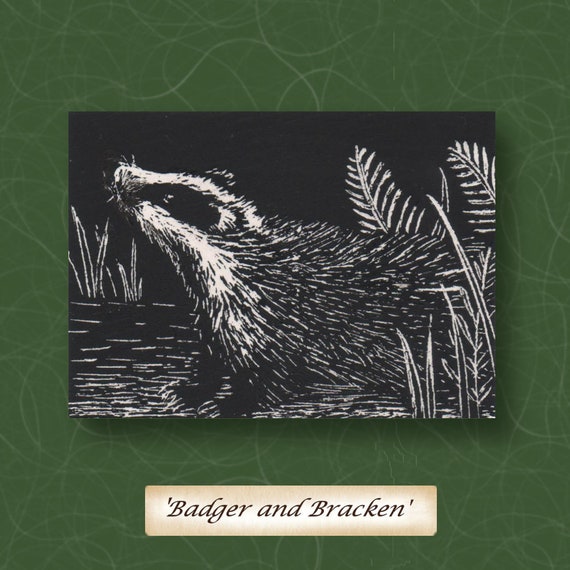 Borsuk Aceo Male Scratchboard Rysunek Borsuka I Orlica W Etsy