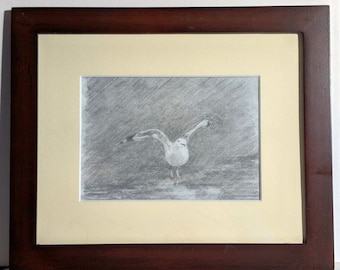 Framed Original Drawing