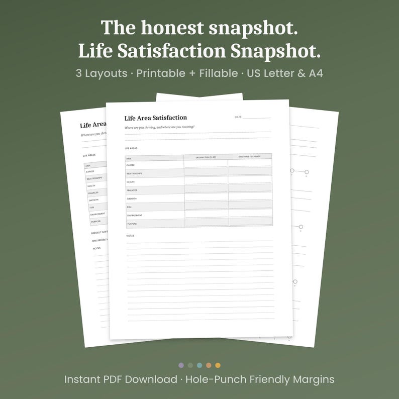 Satisfcation Note Life Satisfaction Snapshot Printable, 3 Layouts, Life Area Assessment ...