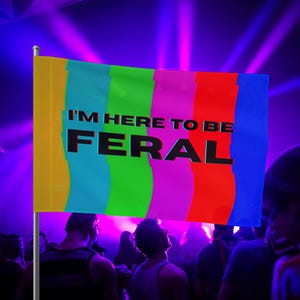 Jag är här för att vara vild festivalflagga | Camping Rave-flagga | Rave-totem