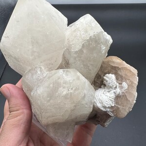Könnte beinhalten: Ein Cluster aus durchscheinenden, cremefarbenen Calcitkristallen. Die Kristalle haben eine raue, strukturierte Oberfläche und werden in einer Hand vor einem dunklen Hintergrund gehalten. Die Kristalle variieren in Größe und Form.