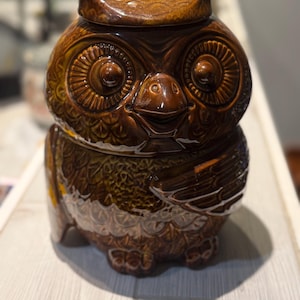 May include: A brown ceramic owl-shaped cookie jar with a lid. The jar has detailed features, including large eyes, a beak, and textured feathers. The owl is sitting on a light-colored surface.