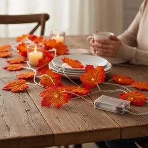 Pode incluir: Um fio de luzes LED com folhas de ácer artificiais de outono em tons de laranja, vermelho e amarelo. As luzes estão ligadas por um fio fino e transparente a uma caixa de pilhas retangular de plástico transparente com um interruptor.