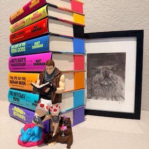 Puede incluir: Una pila de ocho libros de tapa dura de Matt Dinniman con lomos coloridos, una figura de acción masculina con pantalones cortos de corazones y chaleco marrón, una pequeña criatura azul y rosa, y un retrato de gato enmarcado en blanco y negro.