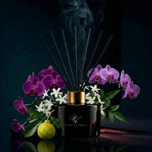 Bergamot Obscura Reed Diffuser | Sandalwood, Jasmine, Iris Home Fragrance
