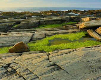 Two Lights Tidal Pool